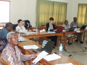 Togo Work Planning Session Credit: Mposo Ntambonzondo