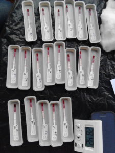 Blood samples at the 2016 lymphatic filariasis transmission assessment survey in Ghana. Photo: FHI 360