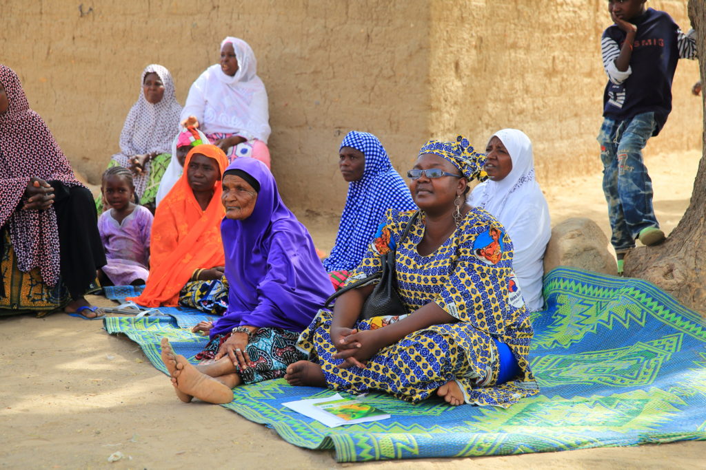 Community Members Learn about Neglected Tropical Disease Prevention and Cures in Niger. Photo: HKI